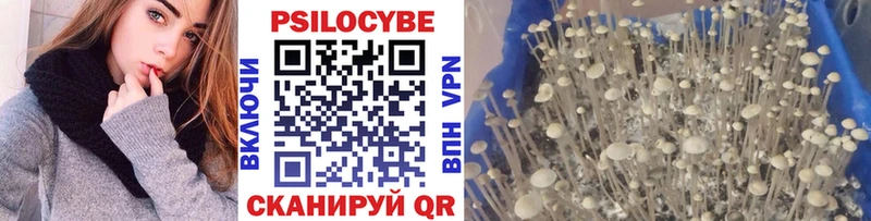 Псилоцибиновые грибы MAGIC MUSHROOMS  Куровское 